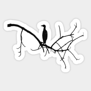 THE BIRD 3 Sticker